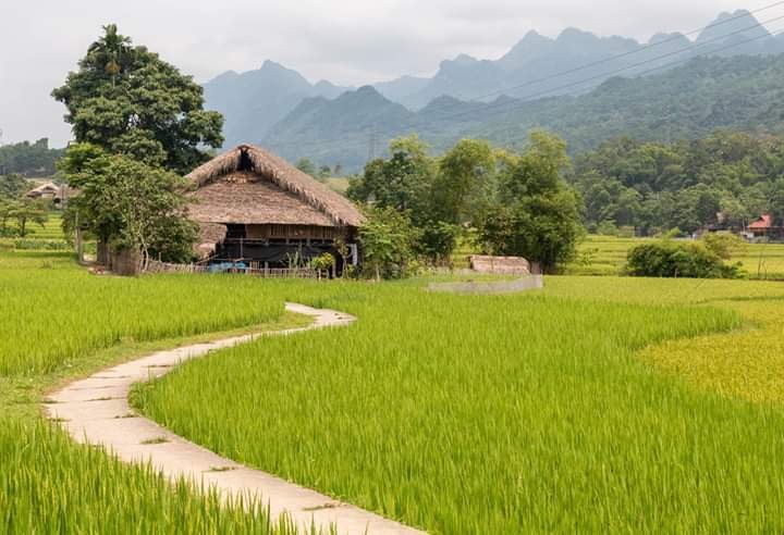 North Vietnam Trek 10 Days Bac Ha, Ha Giang